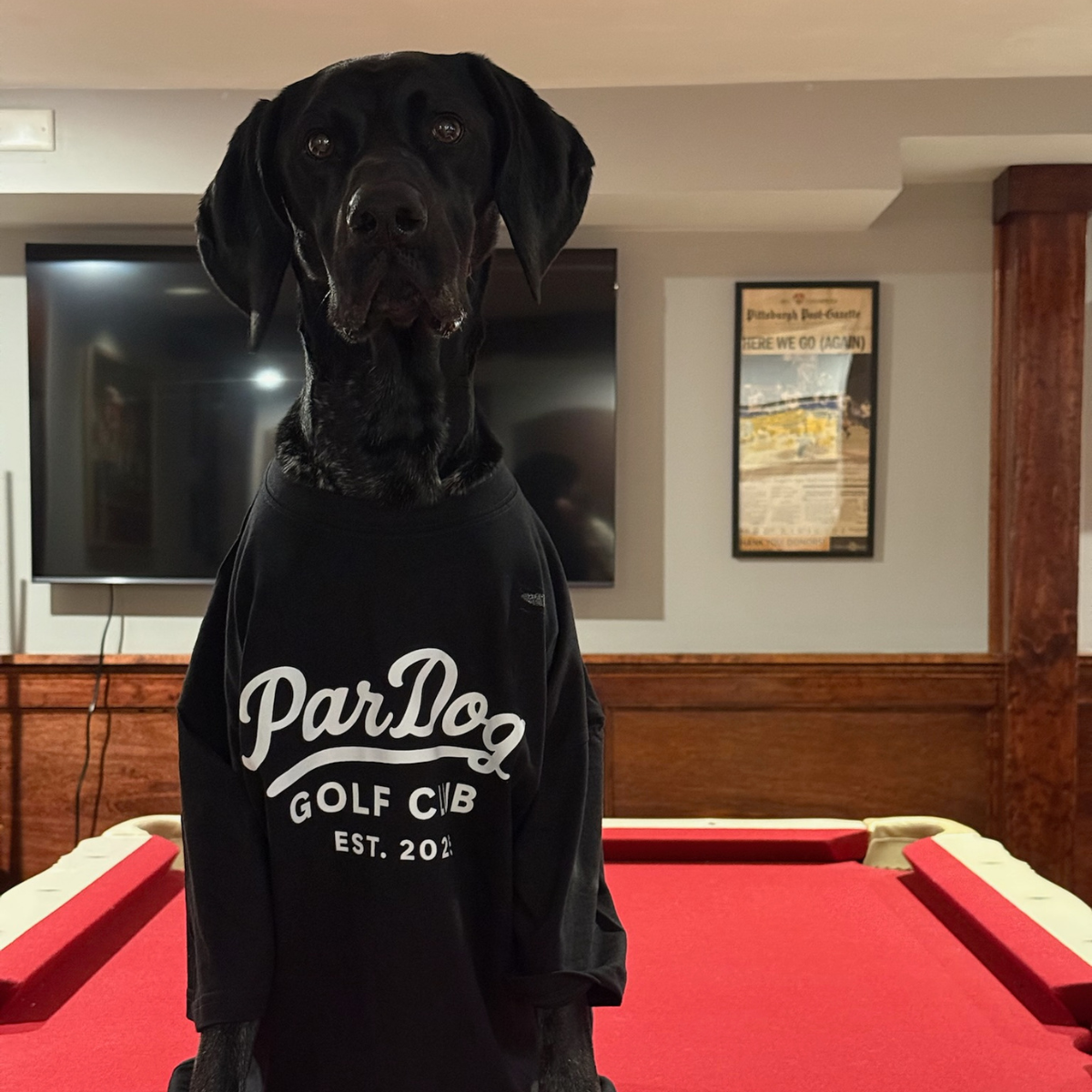 ParDog Golf Club Tee