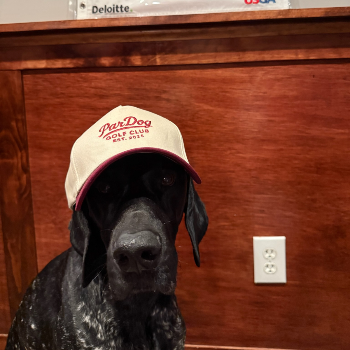 ParDog Golf Club Hat