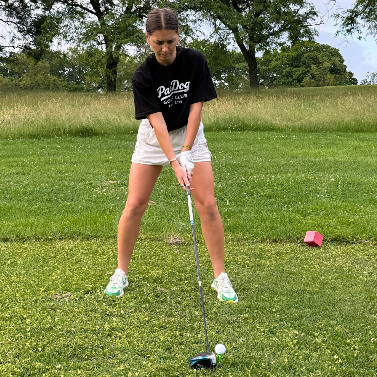 ParDog Golf Club Tee